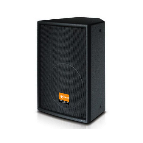 10寸專(zhuān)業(yè)會(huì)議音箱AQ-10